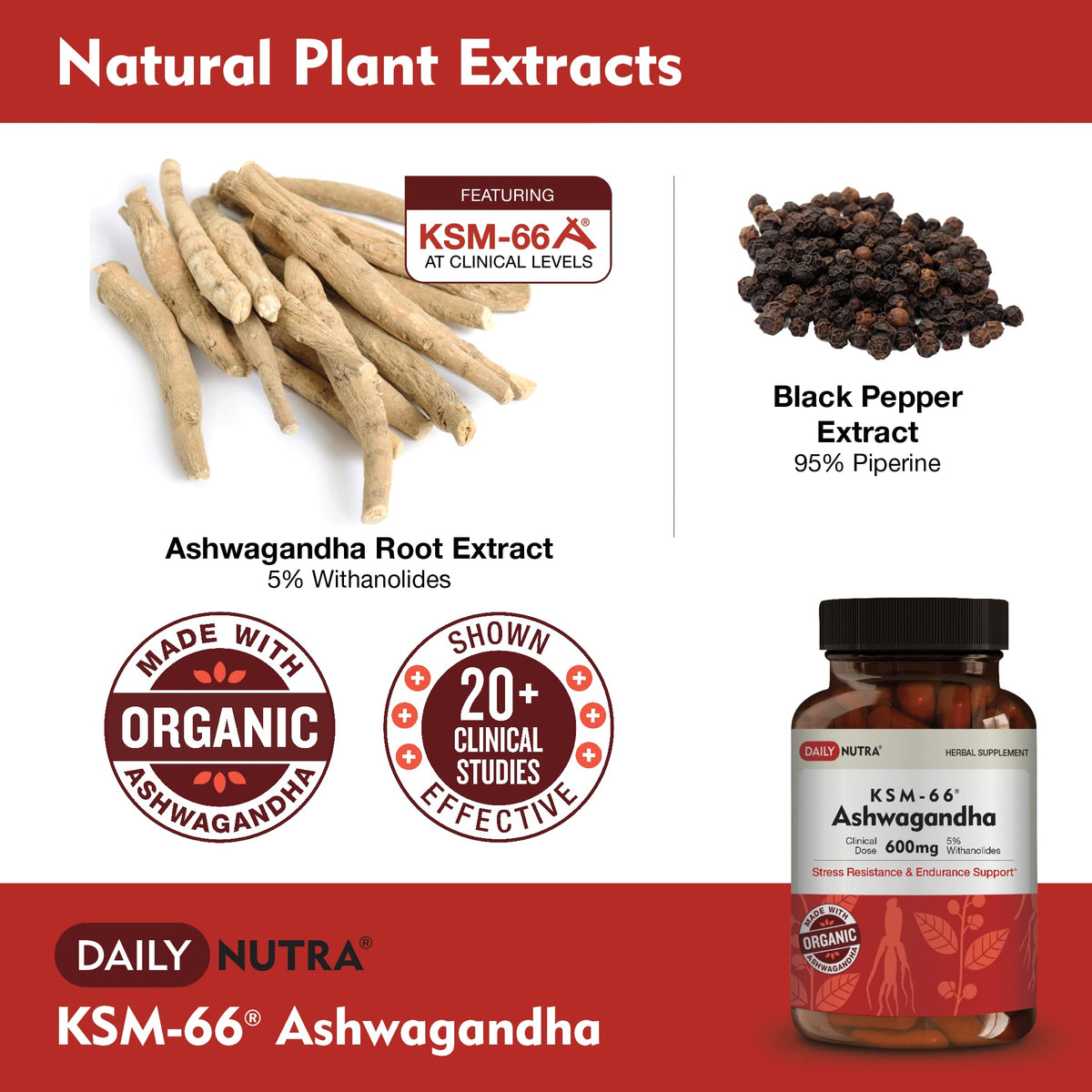 DailyNutra KSM-66 Ashwagandha 600mg Organic Root Extract - High Potency Supplement with 5% Withanolides | Relieves Tiredness, Supports Relaxation, Focus, Energy, & Muscle Growth (90 Capsules) DailyNutraBuy Supplements Australia