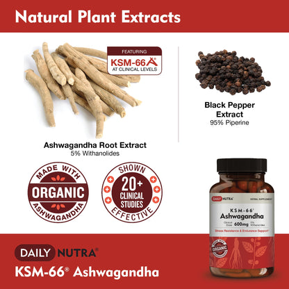 DailyNutra KSM-66 Ashwagandha 600mg Organic Root Extract - High Potency Supplement with 5% Withanolides | Relieves Tiredness, Supports Relaxation, Focus, Energy, & Muscle Growth (90 Capsules) DailyNutraBuy Supplements Australia