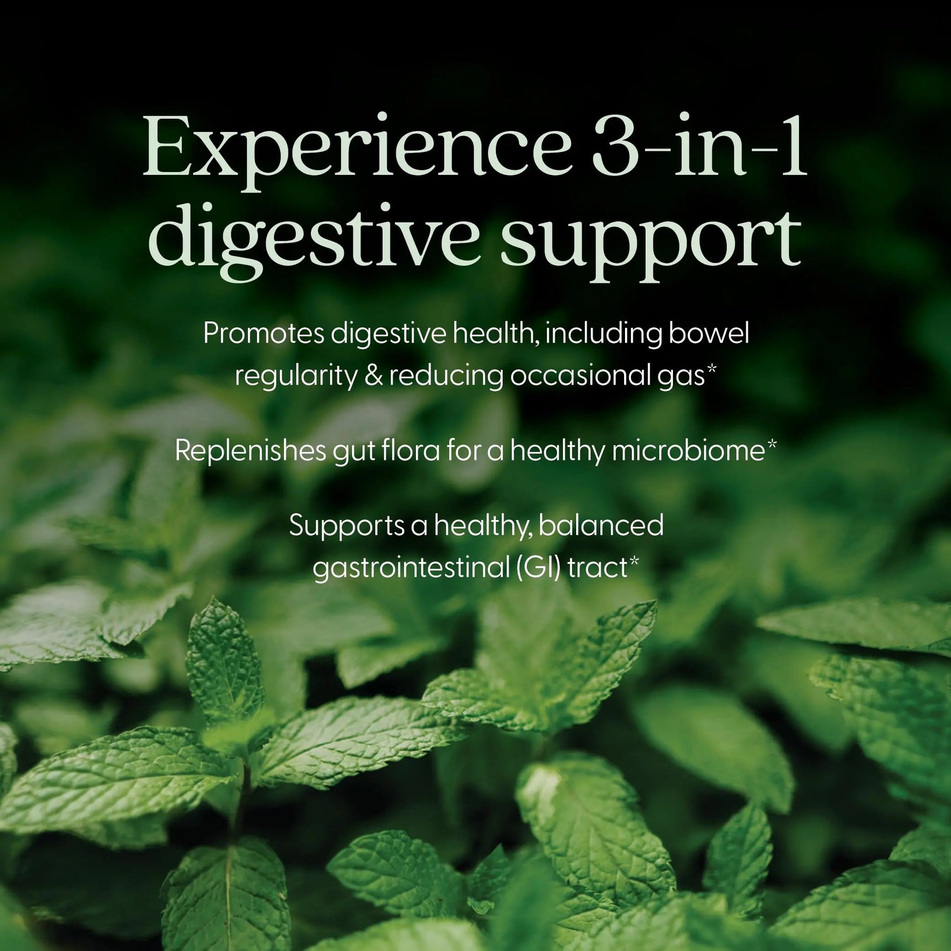 New Chapter All-Flora Probiotic for Advanced Digestion & Complete Gut Health with Prebiotics + Postbiotics, Clinical-Strength Strains, 100% Vegetarian, Non-GMO, Shelf Stable - 60 ct (2 Month Supply) New ChapterBuy Supplements Australia