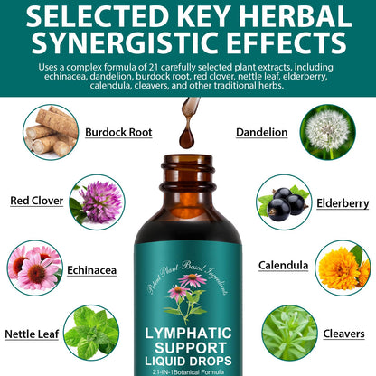 Lymphatic Drainage Drops | 21-in-1 Lymph System Support Supplement | Lymph Cleanse with Turmeric, Echinacea, Elderberry & Dandelion | for Women & Men, 2 fl oz Daiasns buy supplements Au