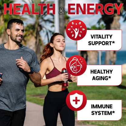 DEDICAD NAD Supplement with Nicotinamide Riboside, Trans-Resveratrol, Quercetin - Cellular Energy & Repair, Vitality, Healthy Aging - 60 Count DEDICAD buy supplements Au
