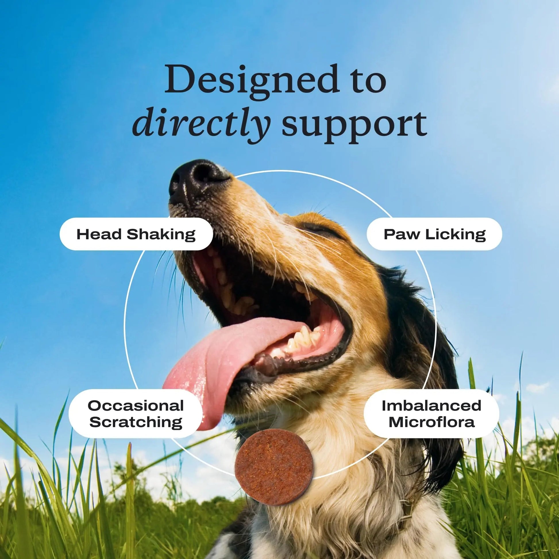 PetLab Co. Allergy & Immune Probiotics for Dogs, Support Seasonal Allergies, Gut & Digestive Health - Pork Flavor - 30 Soft Chews - Packaging May Vary PetLab Co.Buy Supplements Australia