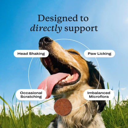 PetLab Co. Allergy & Immune Probiotics for Dogs, Support Seasonal Allergies, Gut & Digestive Health - Pork Flavor - 30 Soft Chews - Packaging May Vary PetLab Co.Buy Supplements Australia