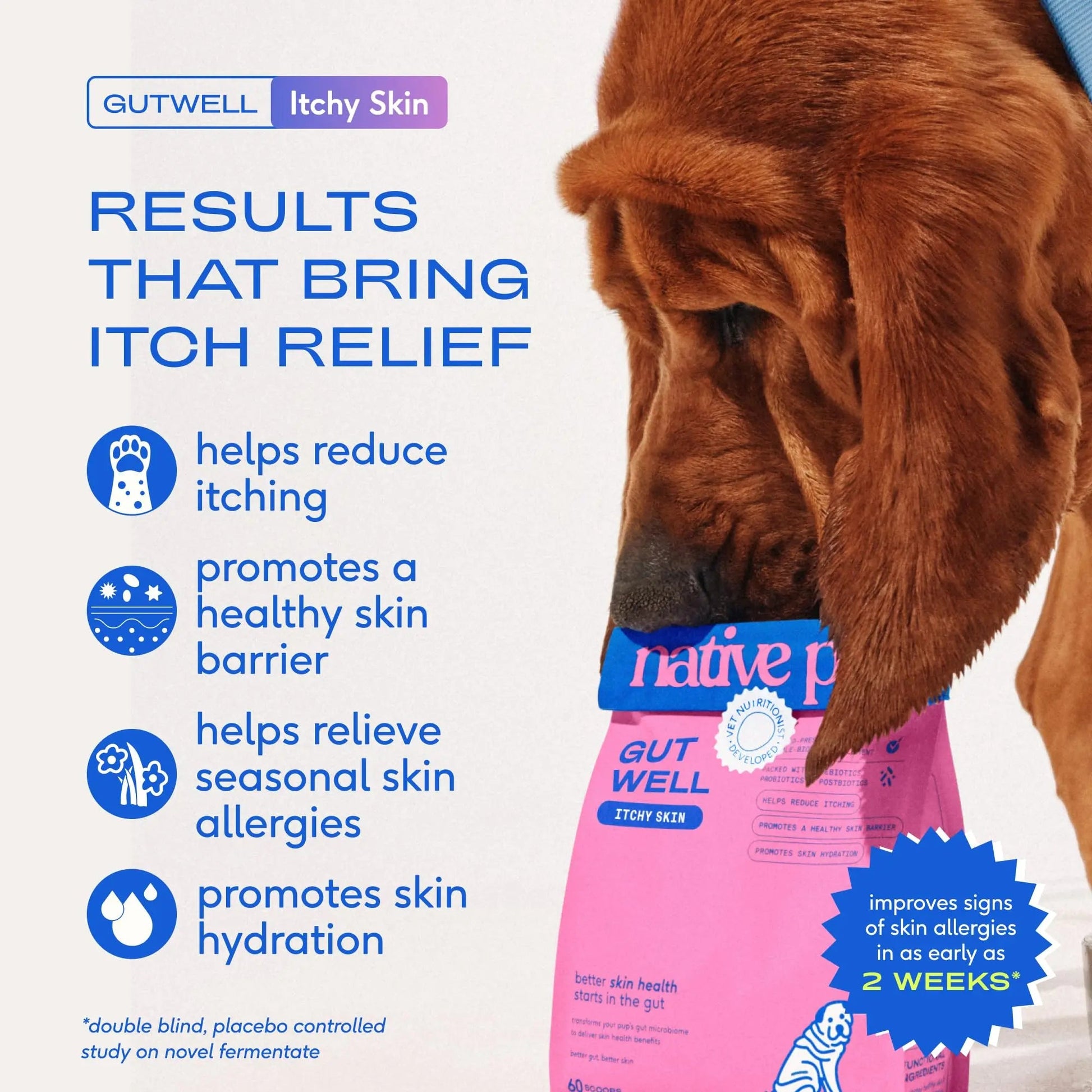 GutWell Itchy Skin - Dog Itching Skin Relief & Seasonal Allergy Itch Relief for Dogs - Promotes Skin Hydration, Elasticity & Healthy Barrier with Triple-biotic Blend, Zinc, & Vitamin E - 60 Scoops Native PetBuy Supplements Australia