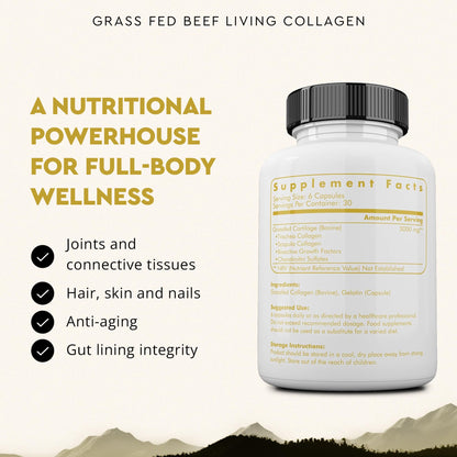 Ancestral Supplements Grass Fed Beef Living Collagen Nutritional Powder Supplement, 3000mg, Promotes Healthier, Younger Looking Skin, Hair, Nails and Joints, Type II, 180 Capsules Ancestral Supplements buy supplements Au