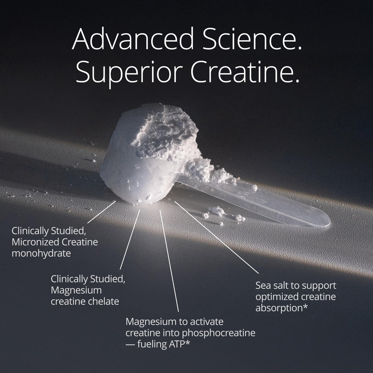 Qualia Creatine | Advanced Creatine Complex | 2 Sources + Magnesium | Optimized Absorption | Muscle Performance, Brain Function, & Healthy Aging (30 Servings) QUALIA LIFE SCIENCESBuy Supplements Australia