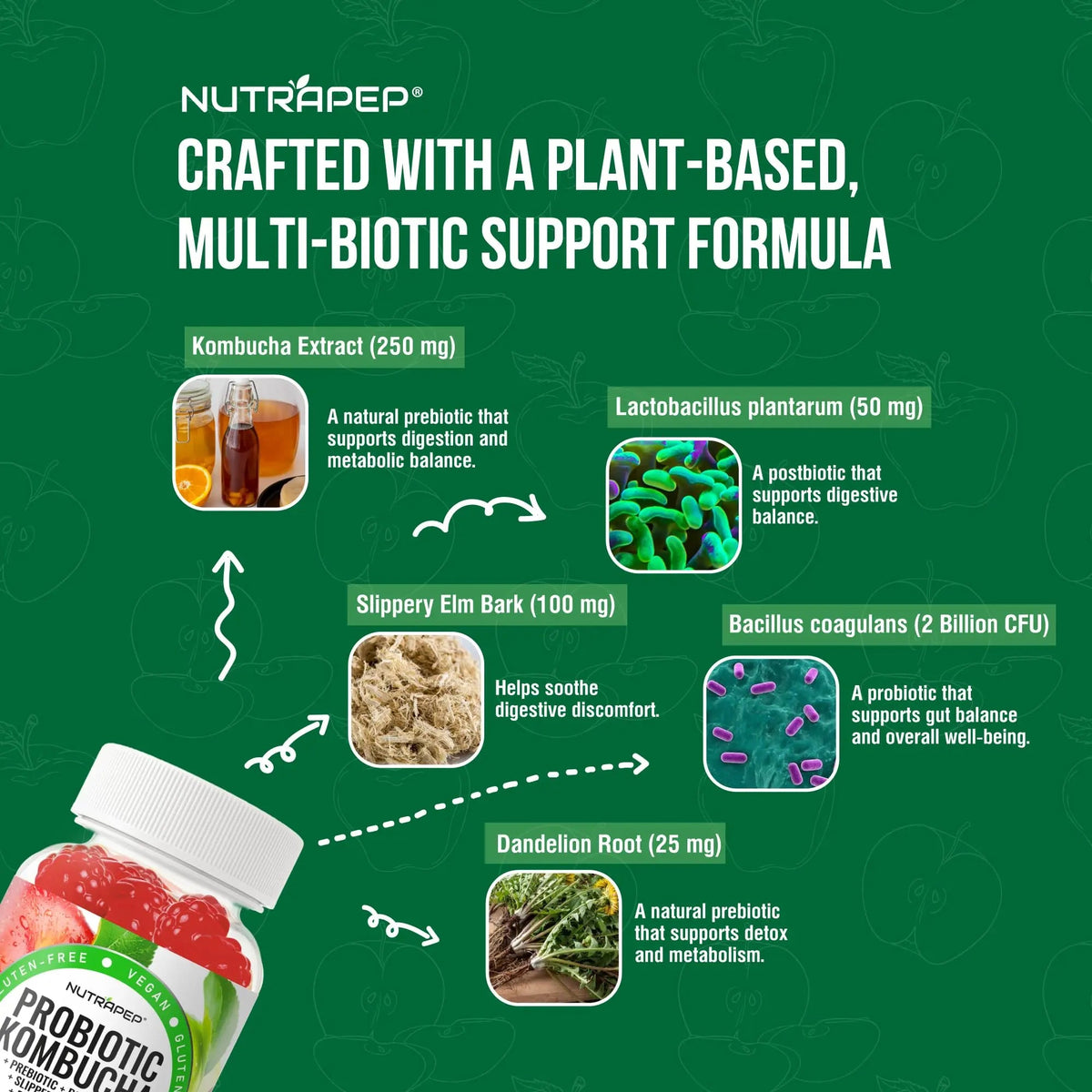 NutraPep Probiotic Kombucha Gummies - Women Men Probiotic Prebiotic Probiotic Blend for Gut Health Bloating Metabolism Support with Slippery Elm Bark Dandelion Root - Vegan Gluten Free Apple Flavor NutraPepBuy Supplements Australia