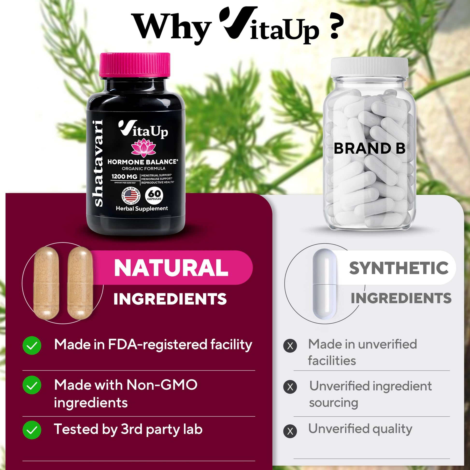 VitaUp Shatavari Capsules for Women 1200mg - USA Made Shatavari Root Supplement for Normal Hormonal Support, Menopause & Menstrual Wellness - 60 Vegan Capsules VitaUpBuy Supplements Australia