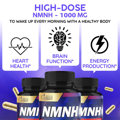Cadane NMNH Supplement | Support Energy & Healthy Aging | Dihydronicotinamide Mononucleotide | Non-GMO – 60 Capsules – 30-Day Organic CadaneBuy Supplements Australia