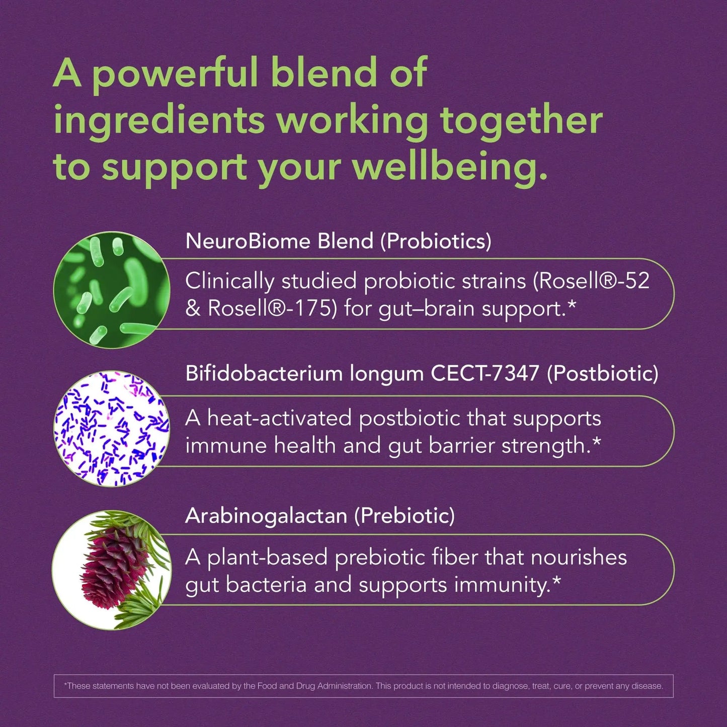 BIOLIGENT Tribiotic+ Prebiotic, Probiotic and Postbiotic Supplement for Women & Men, Gut Health, Immune Support, Bloating Relief, Daily Microbiome and Digestive Support, 30 Capsules, 30 Day Supply BIOLIGENTBuy Supplements Australia
