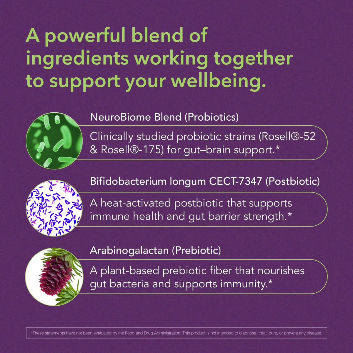 BIOLIGENT Tribiotic+ Prebiotic, Probiotic and Postbiotic Supplement for Women & Men, Gut Health, Immune Support, Bloating Relief, Daily Microbiome and Digestive Support, 30 Capsules, 30 Day Supply BIOLIGENTBuy Supplements Australia