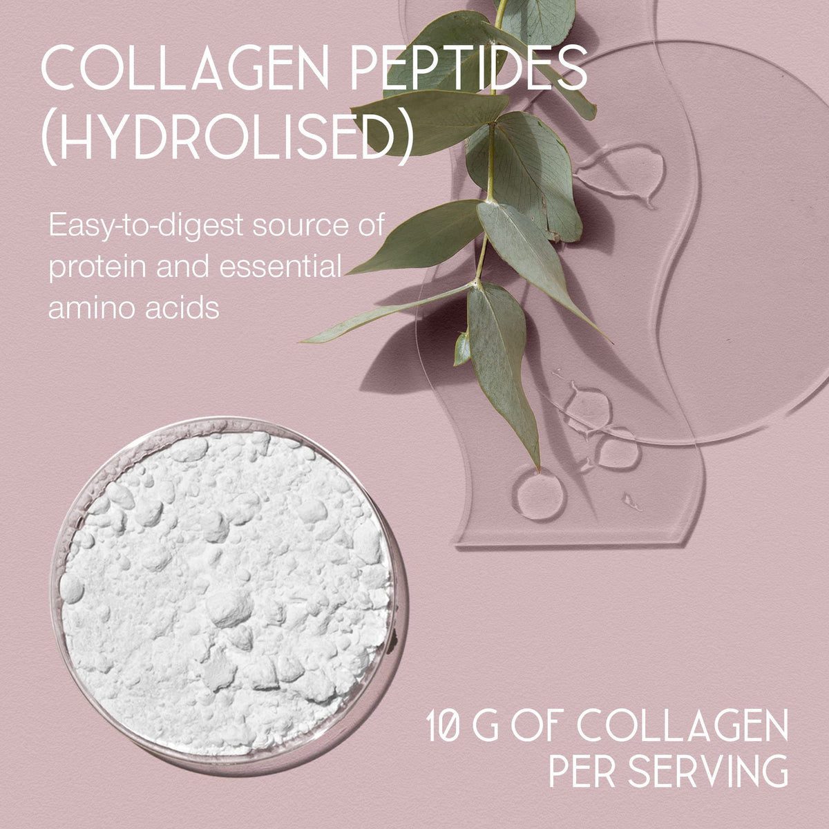 Premium Collagen Powder - Collagen Supplements for Women & Men - Pure Bovine Collagen Peptides 400g SuperSelfBuy Supplements Australia