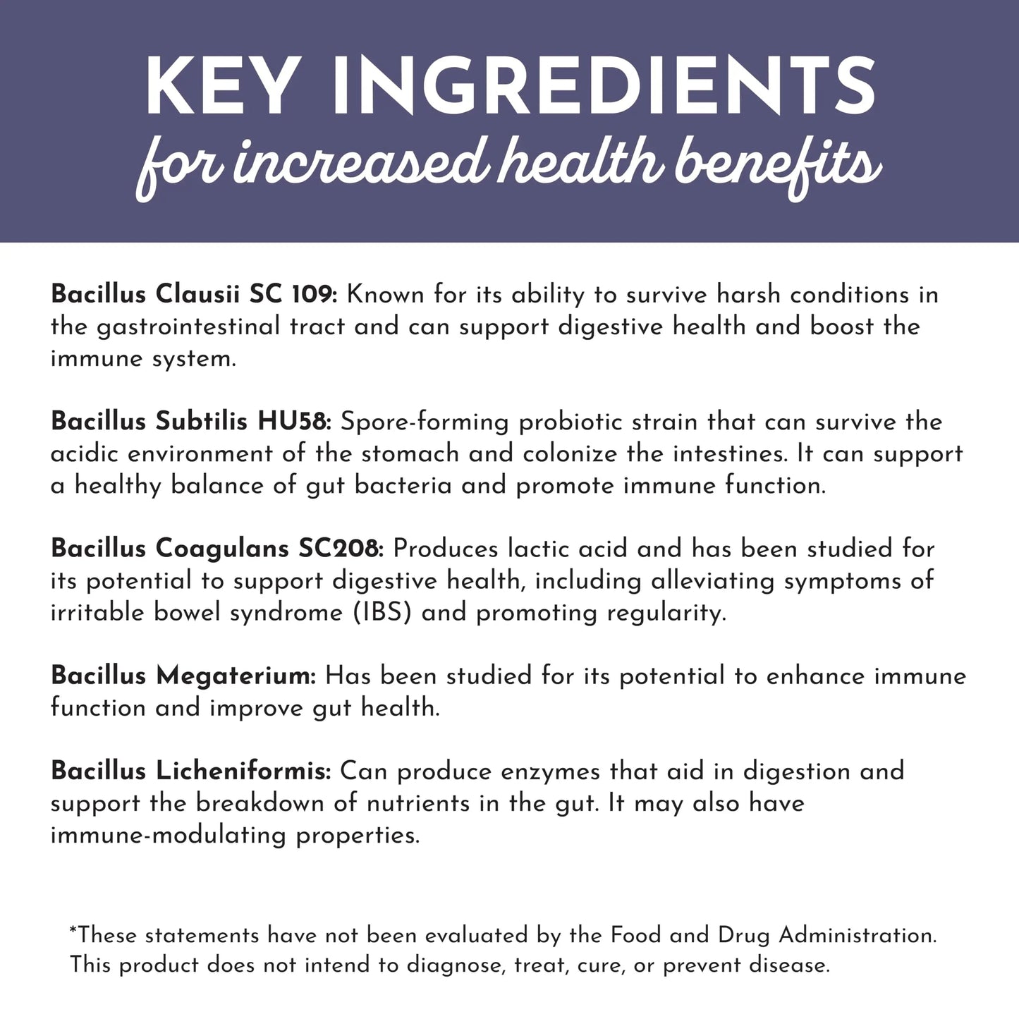 JUST INGREDIENTS Elderberry Lemonade 3-in-1 Probiotic Complex - Prebiotics, Probiotics & Postbiotics - 30 Sticks JUST INGREDIENTSBuy Supplements Australia