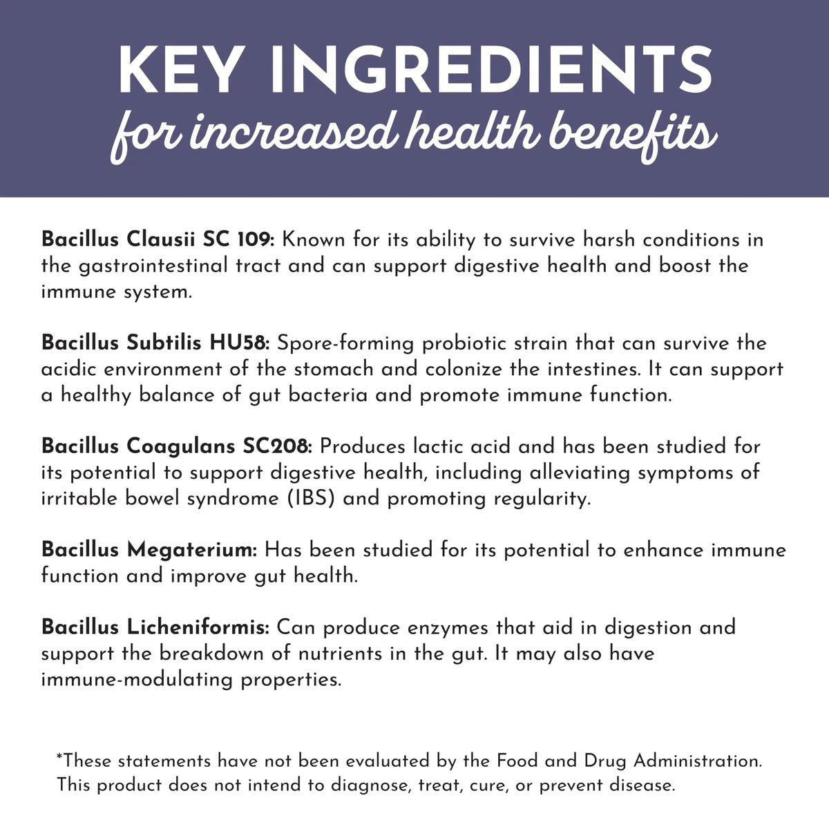 JUST INGREDIENTS Elderberry Lemonade 3-in-1 Probiotic Complex - Prebiotics, Probiotics & Postbiotics - 30 Sticks JUST INGREDIENTSBuy Supplements Australia