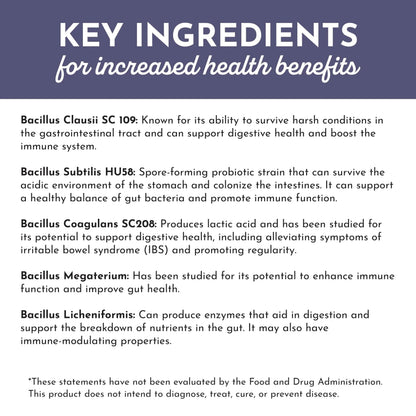 JUST INGREDIENTS Elderberry Lemonade 3-in-1 Probiotic Complex - Prebiotics, Probiotics & Postbiotics - 30 Sticks JUST INGREDIENTSBuy Supplements Australia