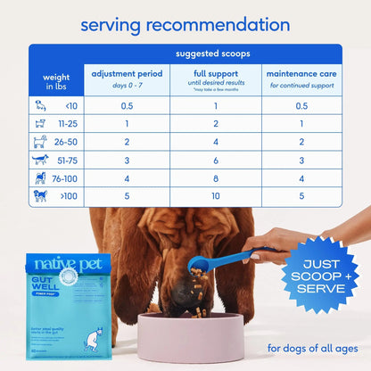 GutWell Power Poop - Digestive Enzymes & Fiber for Dogs - Dog Fiber Supplements Help with Diarrhea Relief, Upset Stomach, Pet Gas & Gut Health with Targeted Triple-Biotic Blend & M-Fiber - 60 Scoops Native PetBuy Supplements Australia