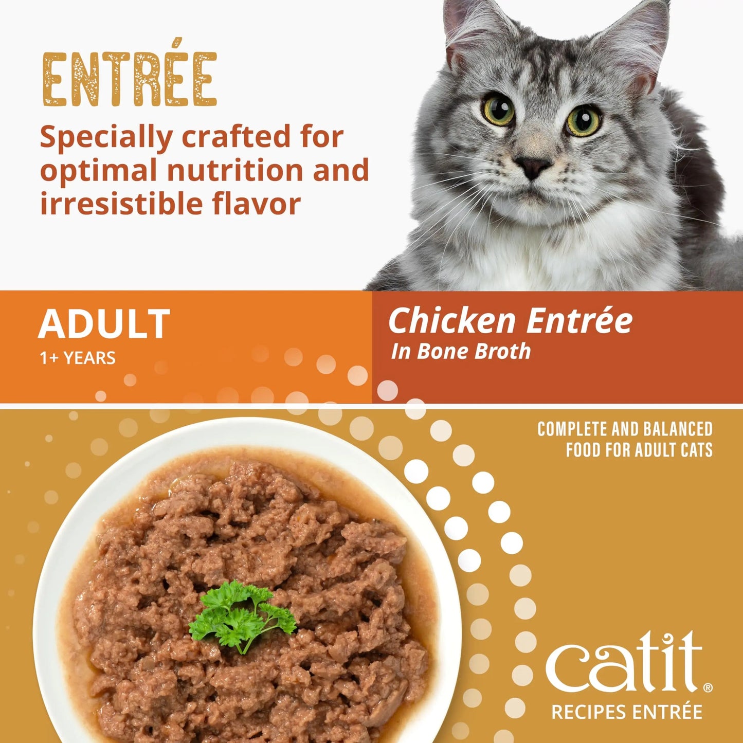 Catit Recipes Adult Chicken Entrée – High-Protein Wet Cat Food with Bone Broth Hydration, Prebiotics & Postbiotics for Gut Health, Omega-3 for Skin & Coat, and Taurine for Heart Support 3oz (12/cs) CatitBuy Supplements Australia