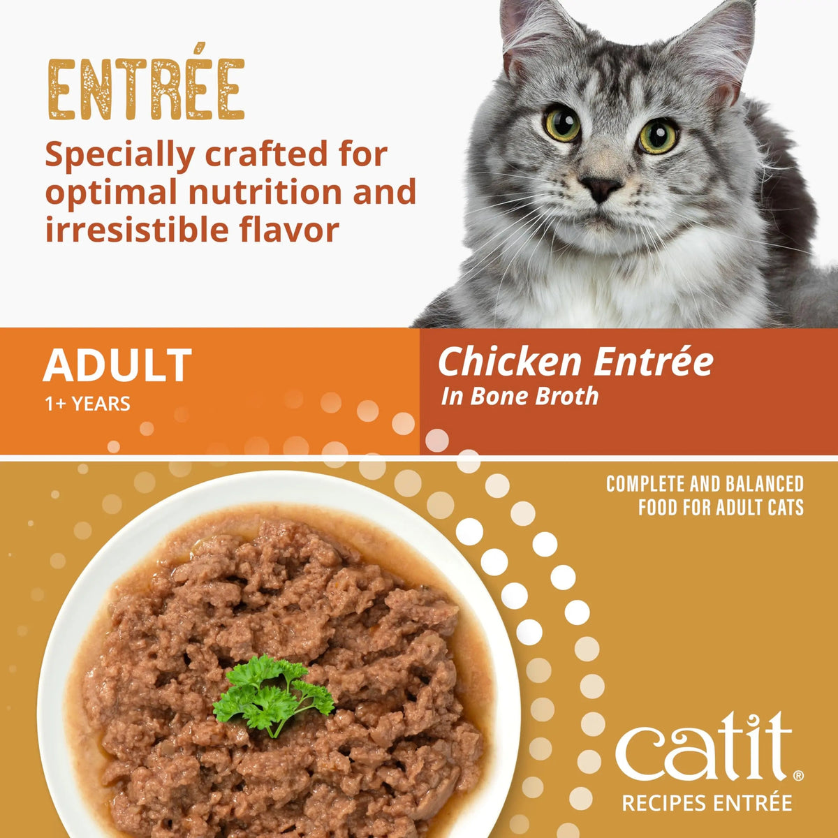 Catit Recipes Adult Chicken Entrée – High-Protein Wet Cat Food with Bone Broth Hydration, Prebiotics & Postbiotics for Gut Health, Omega-3 for Skin & Coat, and Taurine for Heart Support 3oz (12/cs) CatitBuy Supplements Australia