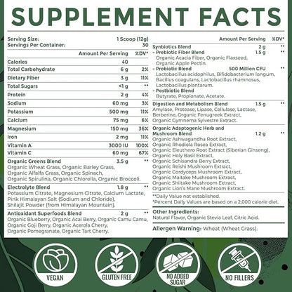 Super Greens Powder Superfood + Electrolytes & Tonic Herbs | Organic Greens, Shilajit, Adaptogens, Antioxidants, Preobiotic & Probiotic & Postbiotic| for Energy, Gut & Immune| Unflavored - 30 Servings Sundhedsliv buy supplements Au