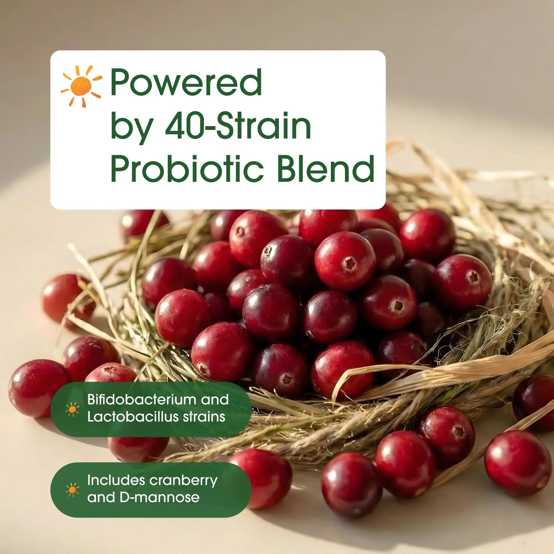 NatureBell Women's Probiotics+ - 240 Vegetarian Capsules - Prebiotic, Probiotic, Postbiotic & Digestive Enzymes - Made with Cranberry, D-Mannose, Inositol & More NatureBellBuy Supplements Australia