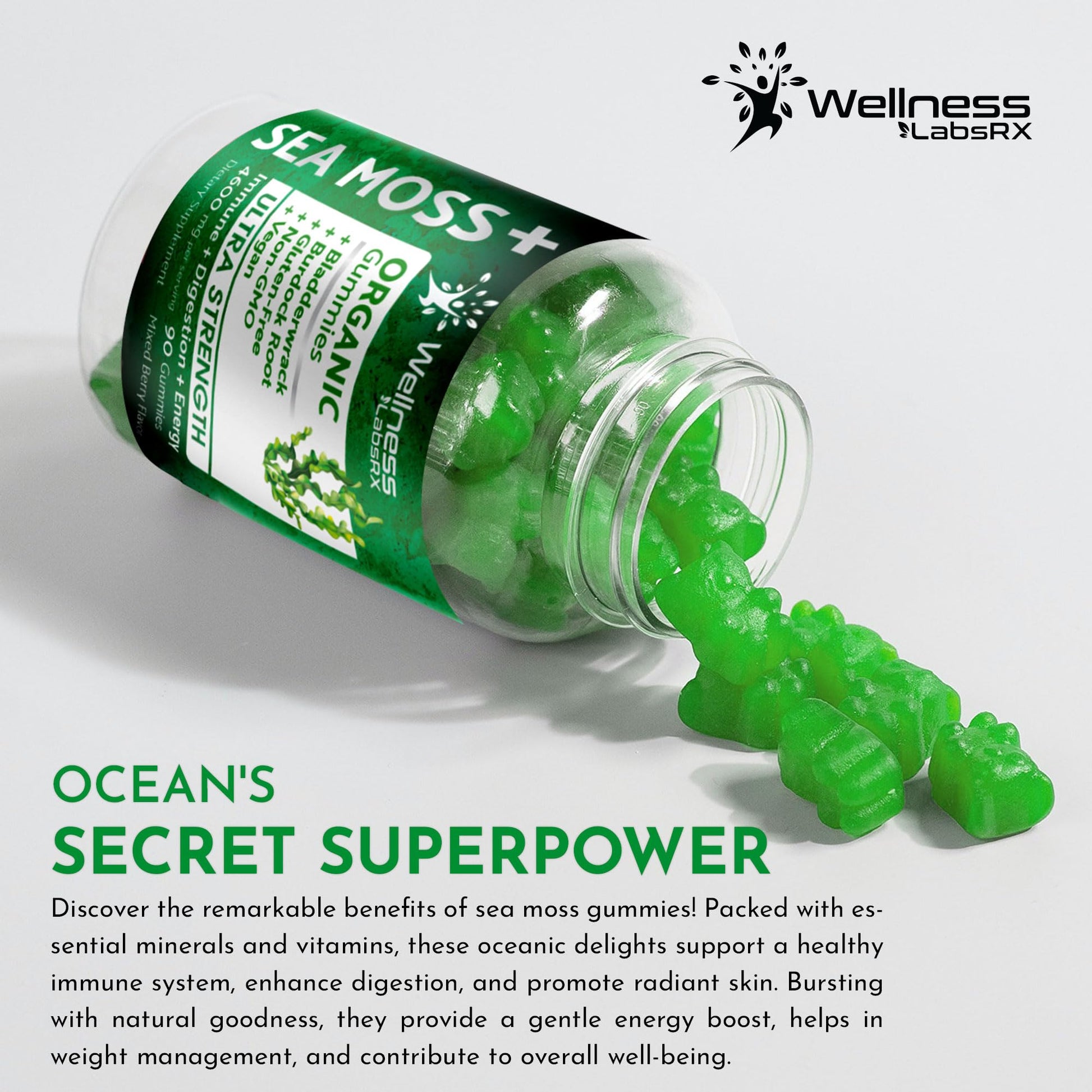 WELLNESS LABSRX Sea Moss Gummies, 3200mg Organic Seamoss, Irish Sea Moss WELLNESS LABSRXBuy Supplements Australia