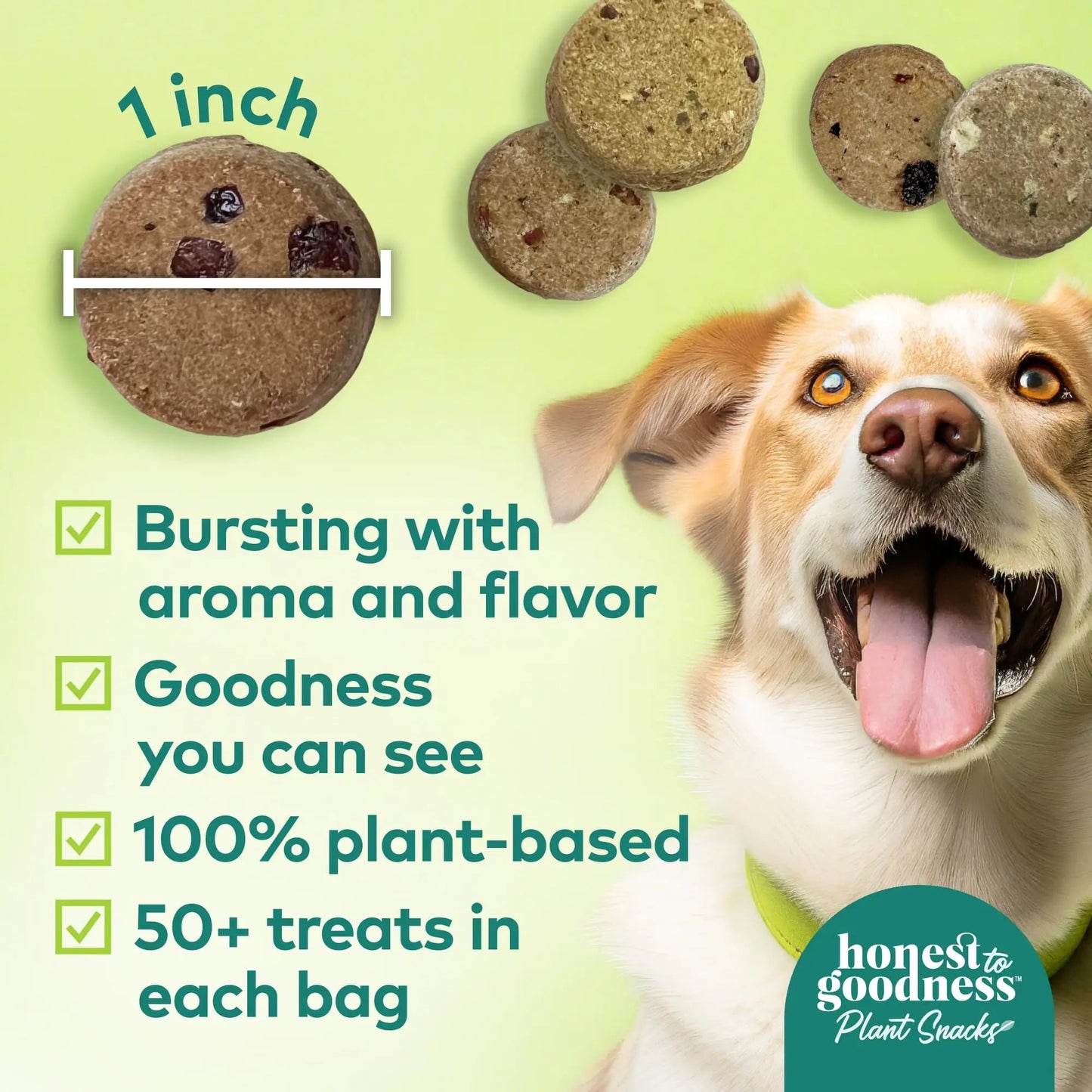 Honest to Goodness Plant Snacks Dog Treats, Enriched with Omega 3s & Postbiotics, 8oz Variety Pack, 6 Bags Honest to GoodnessBuy Supplements Australia