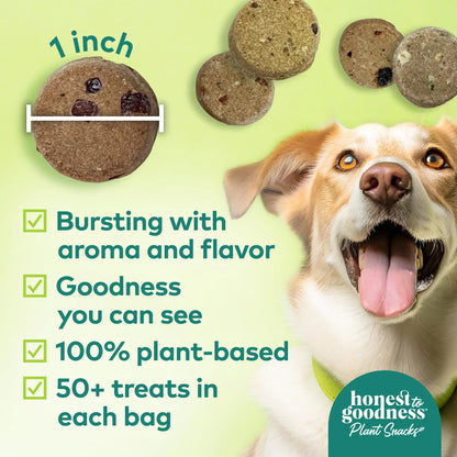 Honest to Goodness Plant Snacks Dog Treats, Enriched with Omega 3s & Postbiotics, 8oz Variety Pack, 6 Bags Honest to GoodnessBuy Supplements Australia