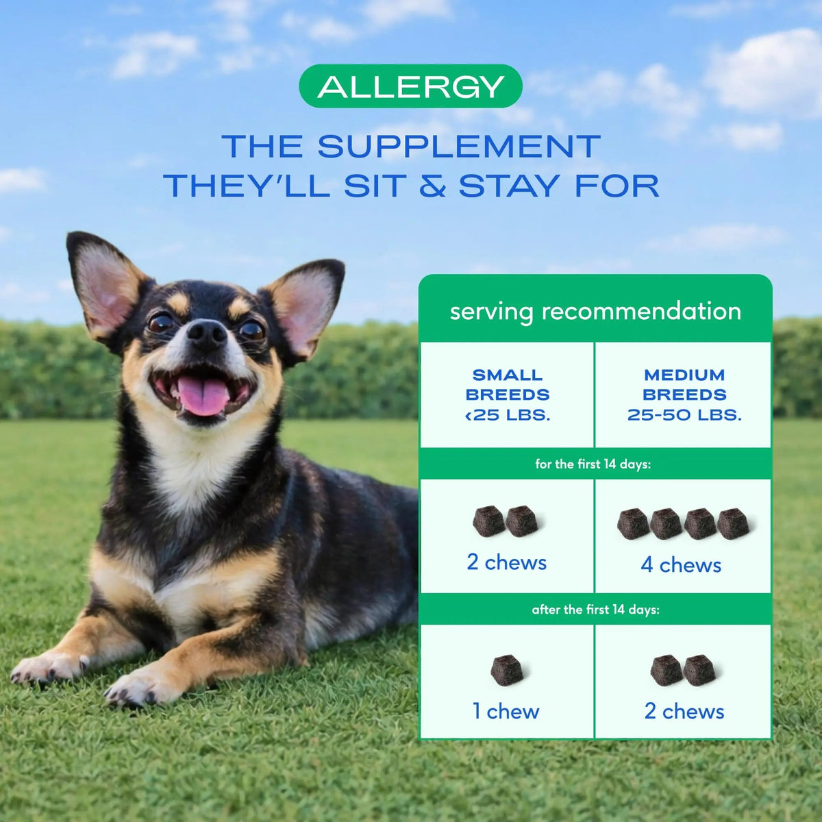 Native Pet Dog Allergy Chews - Dog Allergy Relief for Medium Breeds - Supports Seasonal Itch Relief, Healthy Immune Function & Reduces Sneezing - Colostrum, Spirulina, & Probiotics - 30 Days Supply Native PetBuy Supplements Australia