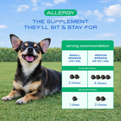 Native Pet Dog Allergy Chews - Dog Allergy Relief for Medium Breeds - Supports Seasonal Itch Relief, Healthy Immune Function & Reduces Sneezing - Colostrum, Spirulina, & Probiotics - 30 Days Supply Native PetBuy Supplements Australia