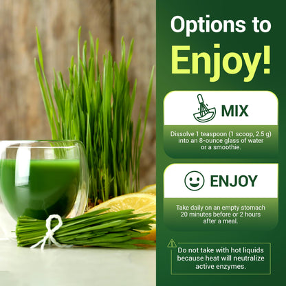 Dr. Berg's Raw Wheatgrass Juice Powder (60 Servings) - USDA Certified Organic Dr. Berg NutritionalsBuy Supplements Australia