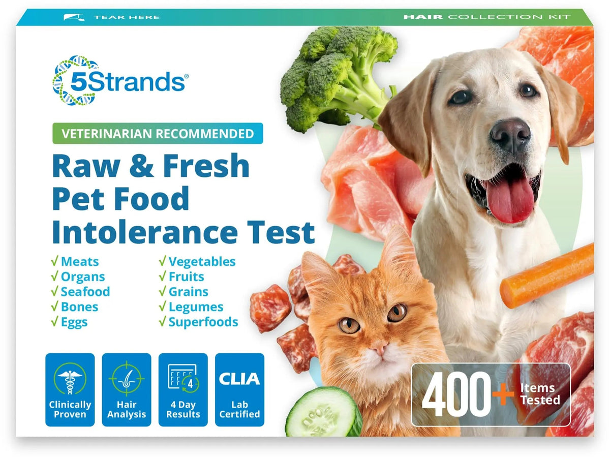 5Strands Raw & Fresh Pet Food Intolerance Test, at Home Gut Health Test for Dogs & Cats, 400+ Raw & Gently Cooked Fresh Food Items Tested, Accurate for All Ages & Breeds, Fast 4 Day Results 5StrandsBuy Supplements Australia