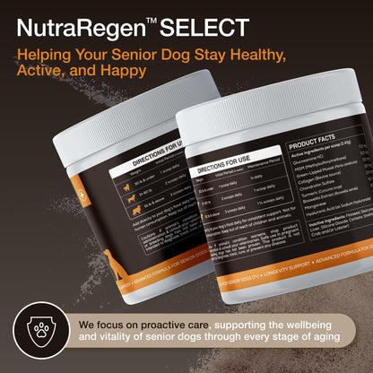 NutraRegen Select Senior Dog Joint Supplement 45 Scoops | Natural Glucosamine Chondroitin for Dogs with Collagen | Hip and Joint Powder | 7.7 Oz NutraRegenBuy Supplements Australia