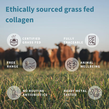 Advanced Hydrolysed Collagen Peptides, 100% Grass Fed & Ethically Sourced Igennus Healthcare NutritionBuy Supplements Australia