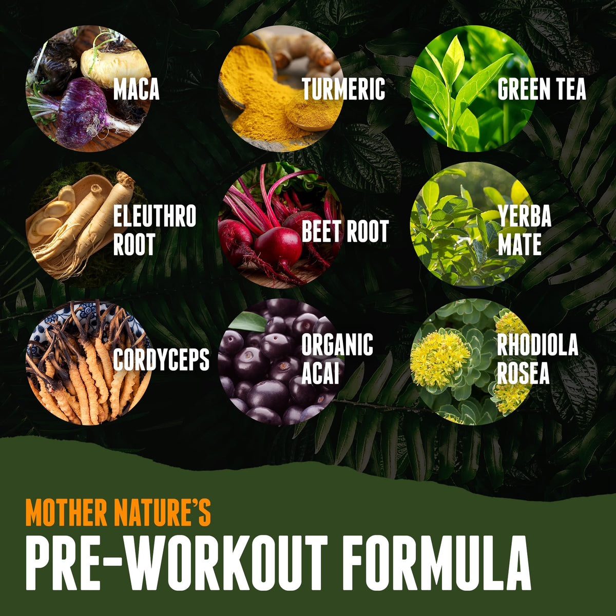 Organic Muscle Superfood Pre Workout Powder for Men & Women, Lemon Berry Organic MuscleBuy Supplements Australia