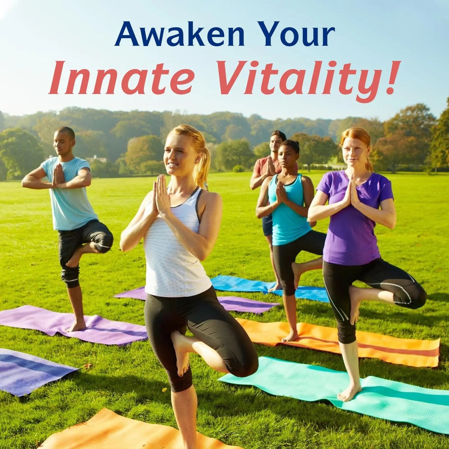 Innate Vitality Daily Probiotics for Women & Men, 30 Billion CFU of 25 Strains, Prebiotics, for Digestive Health Diarrhea Constipation Bloating & Gas Relief, Delayed Release, No Gluten, Vegan, 30 Caps Innate VitalityBuy Supplements Australia