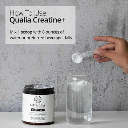 Qualia Creatine | Advanced Creatine Complex | 2 Sources + Magnesium | Optimized Absorption | Muscle Performance, Brain Function, & Healthy Aging (30 Servings) QUALIA LIFE SCIENCESBuy Supplements Australia