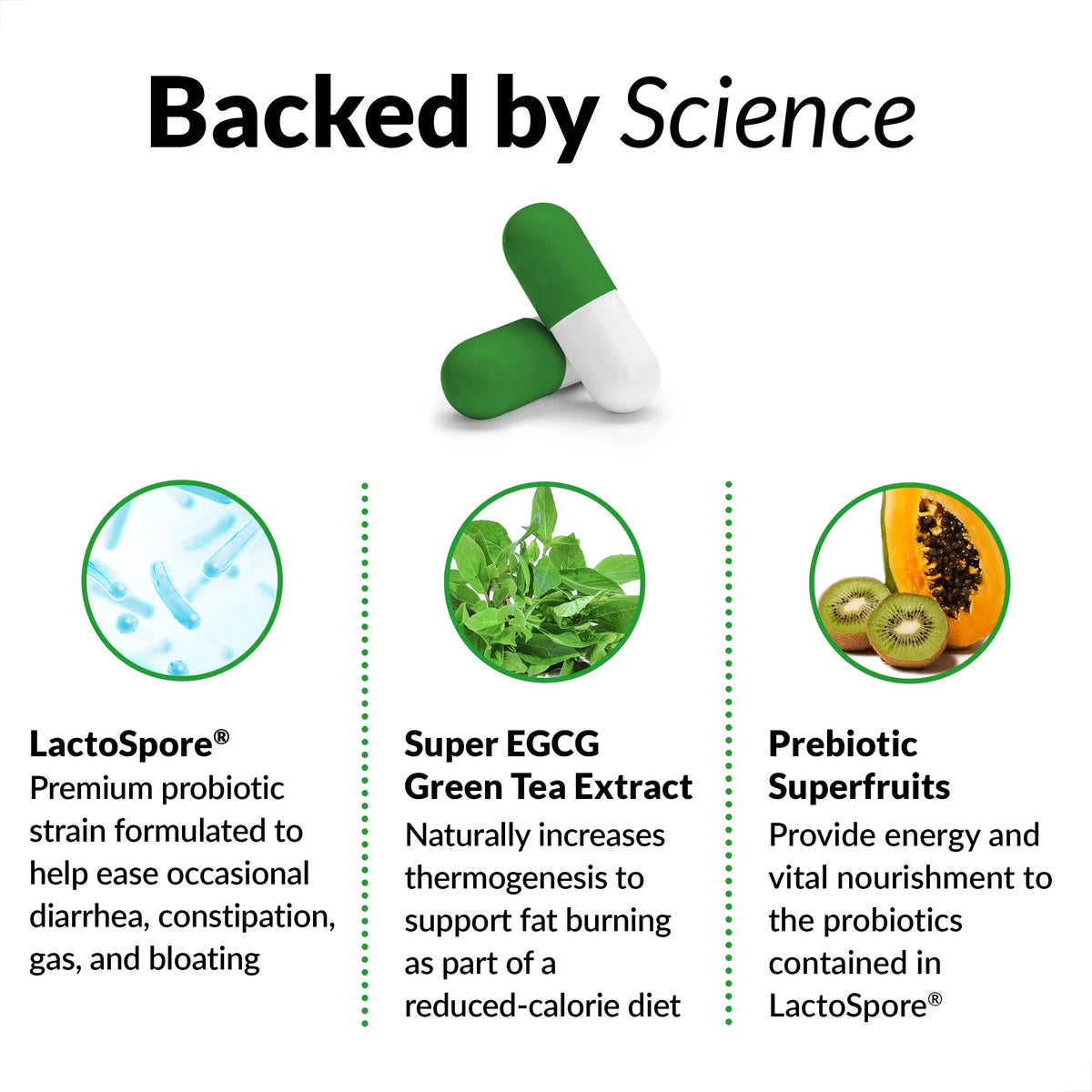 Force Factor ProbioSlim Probiotics for Women and Men, Probiotics for Digestive Health to Reduce Bloating, Gas, & Occasional Diarrhea, with Prebiotics, LactoSpore, & Green Tea for Energy, 60 Capsules ProbioSlimBuy Supplements Australia