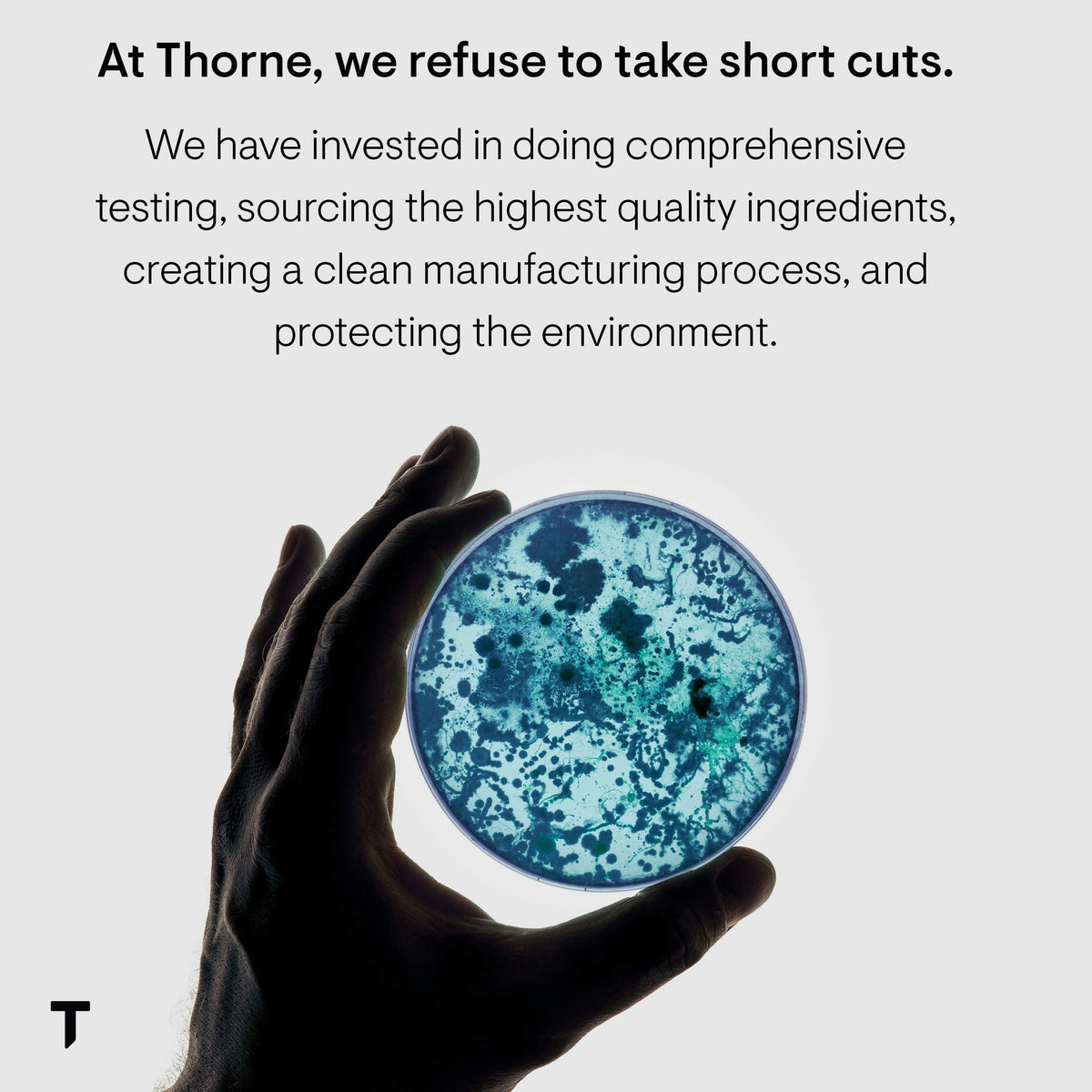 Thorne Zinc Picolinate 15mg - Highly Absorbable Zinc Supplement - Supports Wellness THORNEBuy Supplements Australia