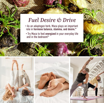 Maca Root Gummies with Natural Peach Flavor | Drive, Performance & Energy Support | Hormone Balance for Women and Men | Herbal Supplements 200MG Extra Strength | Vegetarian, Non-GMO | 60 Gummies SMNutritionBuy Supplements Australia