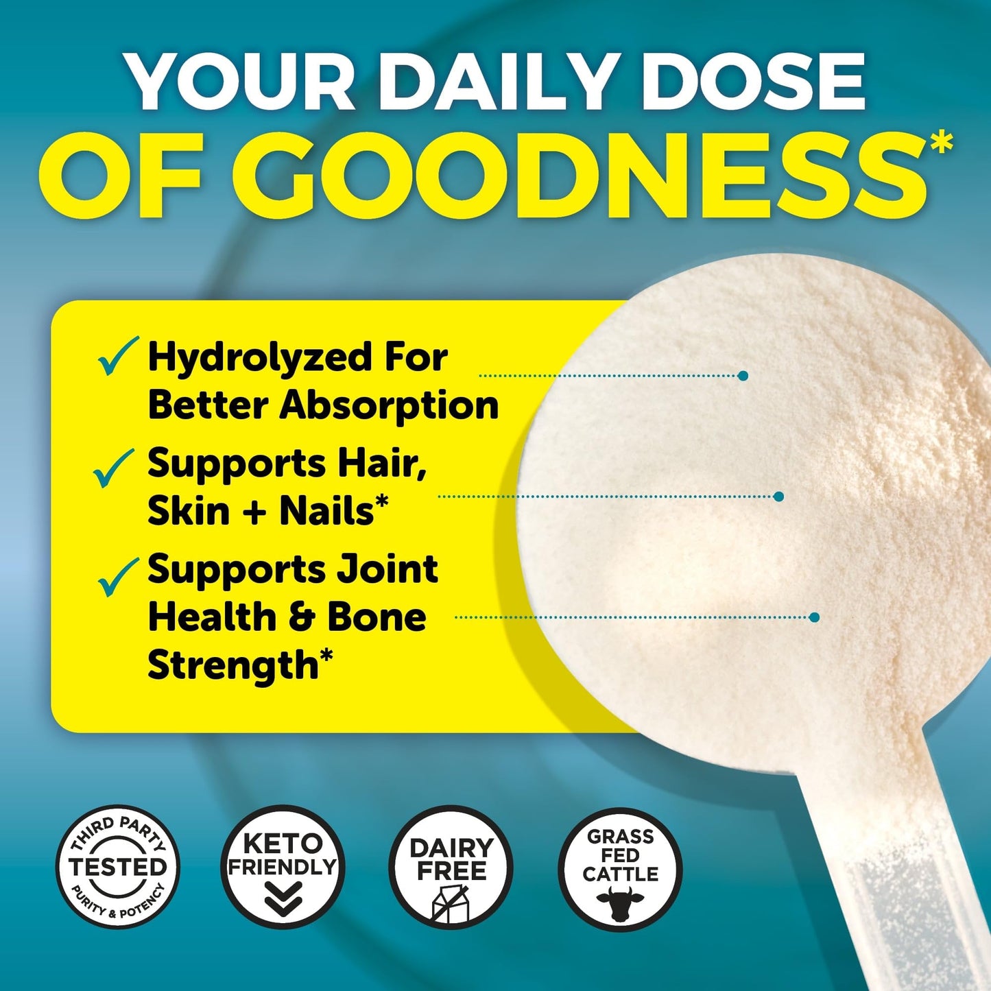 Viva Naturals Collagen Peptides Powder - Grass-Fed Hydrolyzed Bovine, Type I & III - 19 g Protein, Unflavored, Easy Dissolving - Joint, Skin, Hair & Nail Support - Paleo, Keto, Non-GMO - 1lb Viva Naturals buy supplements Au