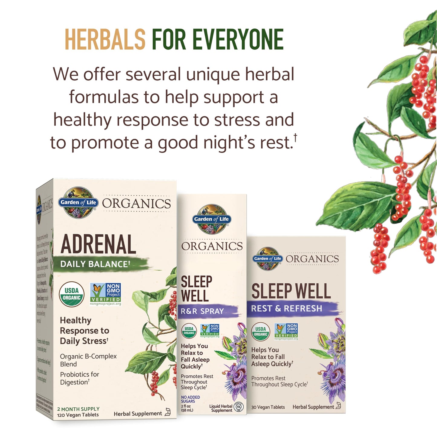 Garden of Life Organics Adrenal Daily Balance, Adaptogenic Herbs Ashwagandha, Holy Basil, B Complex & Probiotics, Organic Non-GMO, Vegan, Gluten Free Supplement, Two Month Supply, 120 Tablets Garden of LifeBuy Supplements Australia