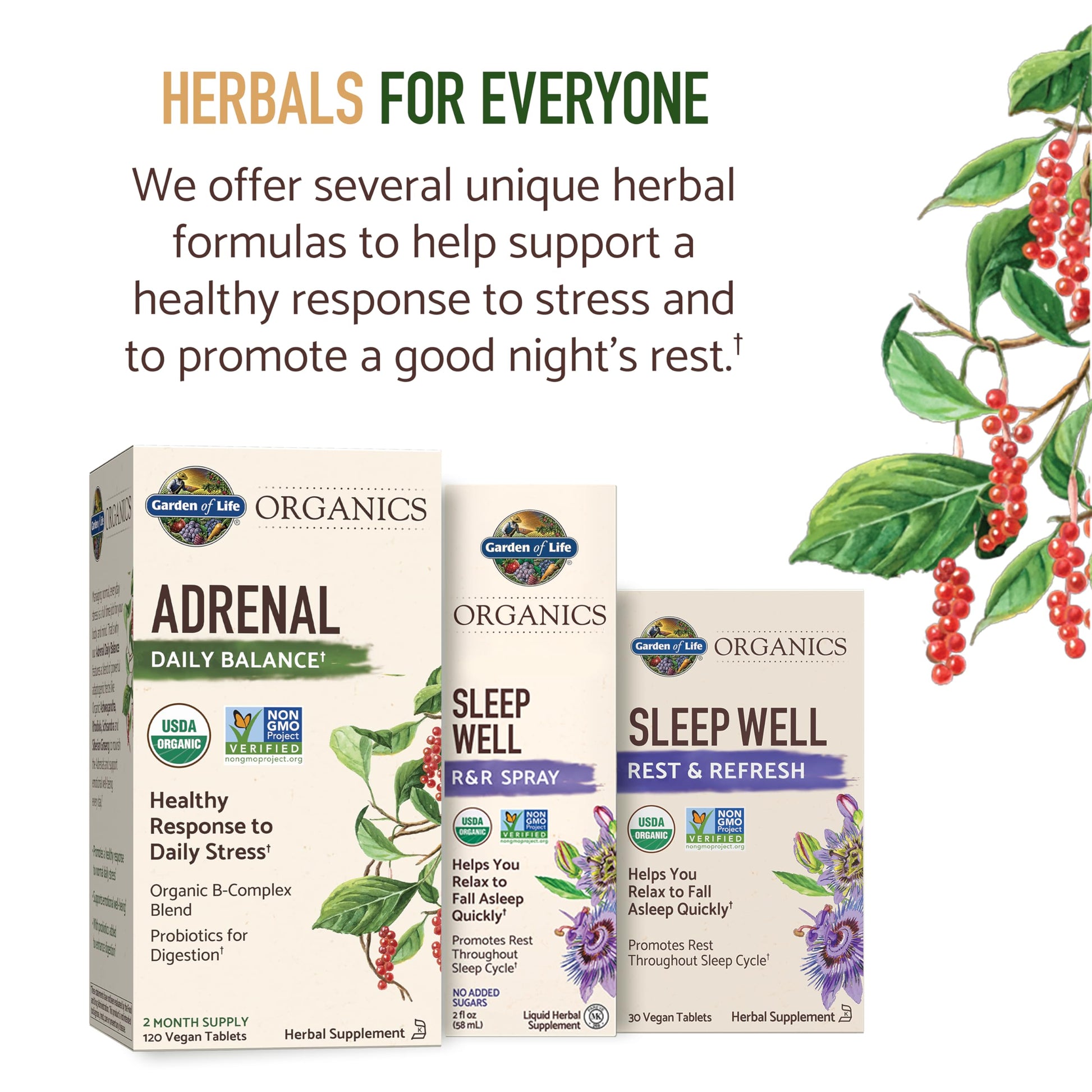 Garden of Life Organics Adrenal Daily Balance, Adaptogenic Herbs Ashwagandha, Holy Basil, B Complex & Probiotics, Organic Non-GMO, Vegan, Gluten Free Supplement, Two Month Supply, 120 Tablets Garden of LifeBuy Supplements Australia