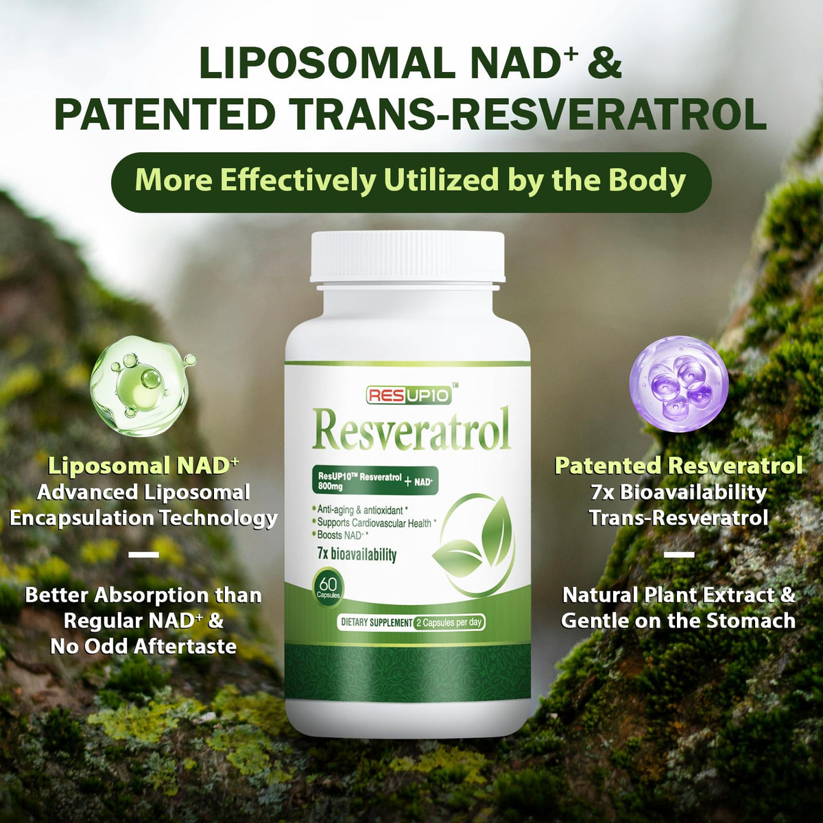 PureBotan Liposomal NAD+ Resveratrol Supplement 1300mg, High Bioavailable Trans Resveratrol ResUP10, with Extra Strength NAD Plus, Support Aging, Cardiovascular Health and Cellular Energy, 60 Capsules PureBotanBuy Supplements Australia