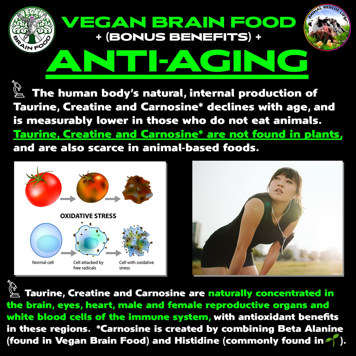 Vegan Brain & Body Boost: The Cherry On Top of A Plant-Based Lifestyle | Working Intelligence | Anti-Aging | Physical Fitness | Vegan Amino Acids - Creatine, Taurine & Beta Alanine | 40 Servings/300g Vegan Brain FoodBuy Supplements Australia