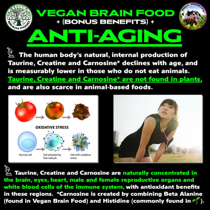 Vegan Brain & Body Boost: The Cherry On Top of A Plant-Based Lifestyle | Working Intelligence | Anti-Aging | Physical Fitness | Vegan Amino Acids - Creatine, Taurine & Beta Alanine | 40 Servings/300g Vegan Brain FoodBuy Supplements Australia
