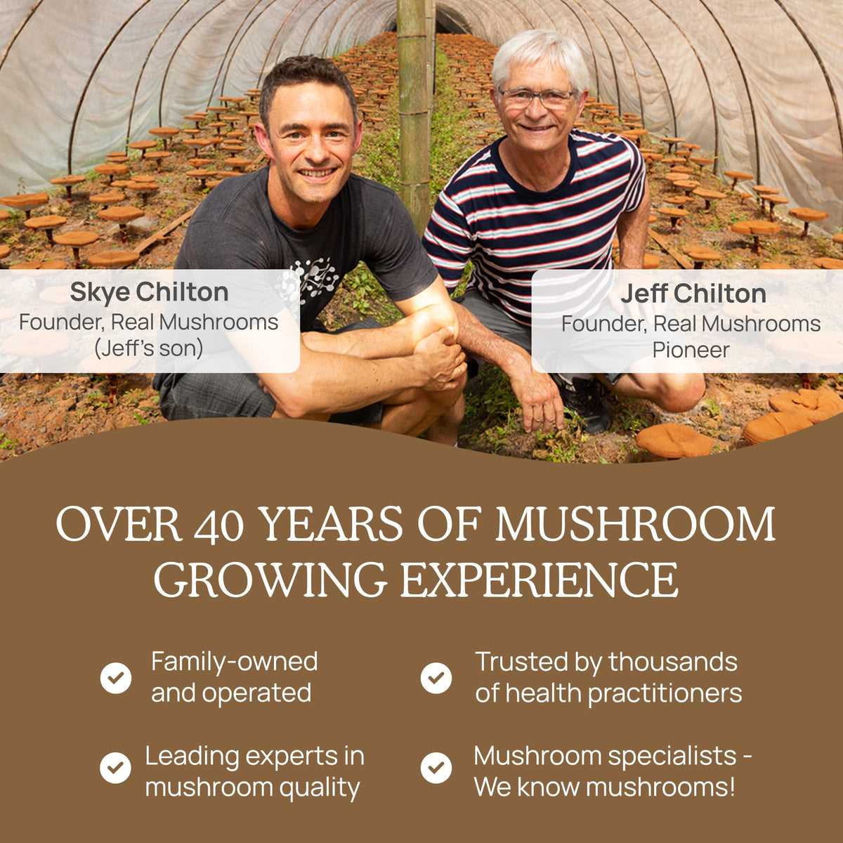 Real Mushrooms Lion’s Mane Powder - Organic Lions Mane Mushroom Extract Real MushroomsBuy Supplements Australia