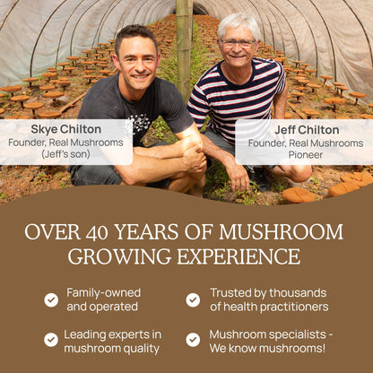 Real Mushrooms Lion’s Mane Powder - Organic Lions Mane Mushroom Extract Real MushroomsBuy Supplements Australia