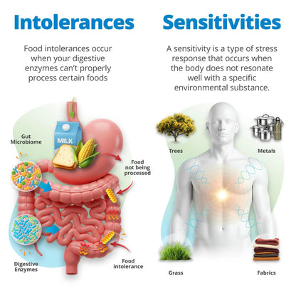 5Strands Food Intolerance & Environmental Sensitivity Test for Adults & Children, 950 Items Tested, Kids Intolerance Testing Kit, at Home Gut Health Assessment, Fast 4 Day Results 5StrandsBuy Supplements Australia
