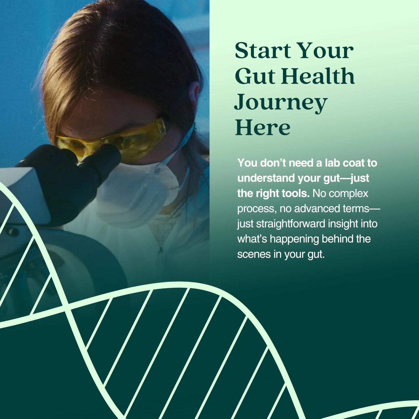 KiHealth – Gut Health Basics Test – at-Home Stool Test for Digestion, Inflammation, and Microbiome Balance – at-Home Kit KihealthBuy Supplements Australia