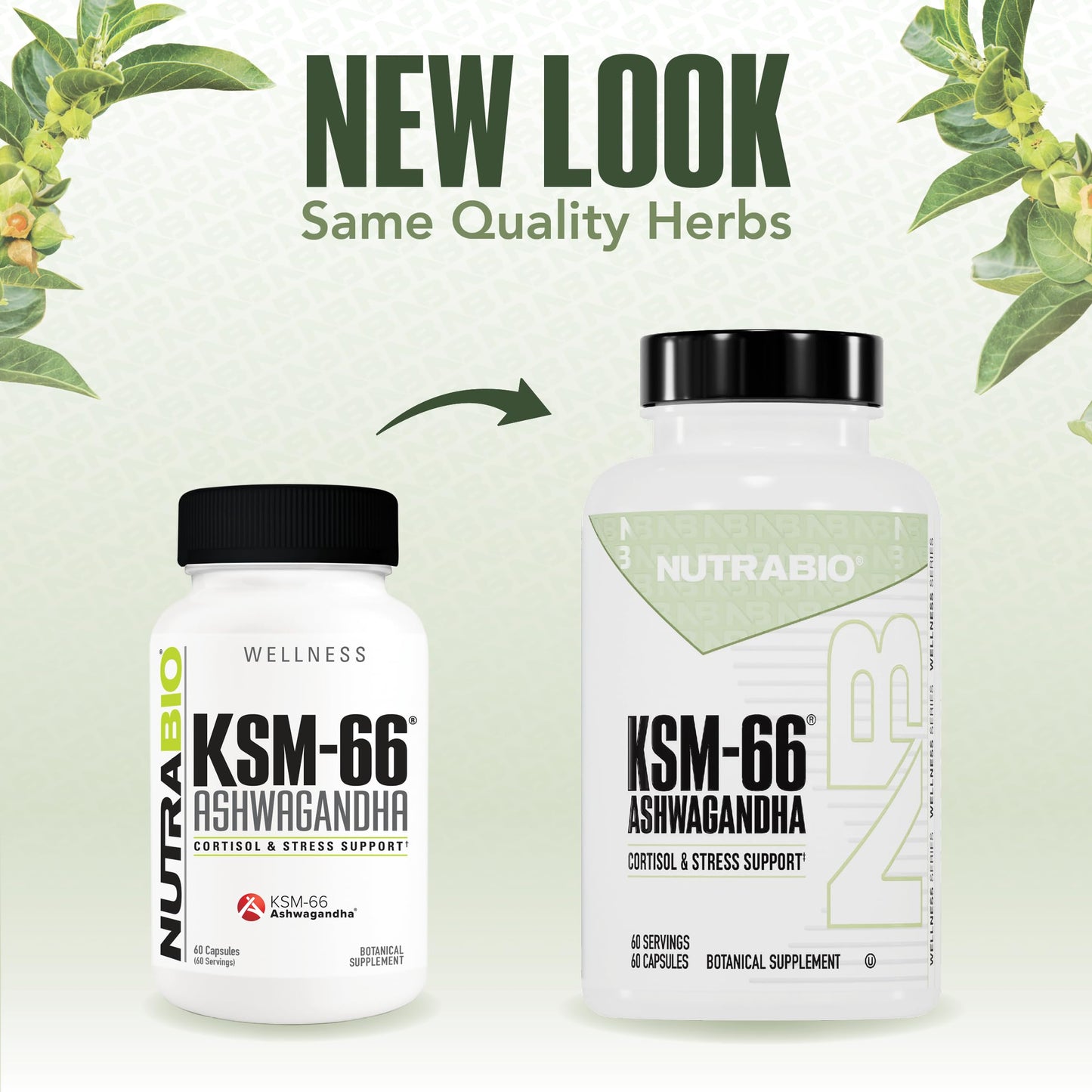 NutraBio Ashwagandha KSM-66 | Ashwagandha Herbal Supplement for Stress, Mood, & Performance | 600 MG of Clinically Studied KSM66 60 Capsules NutraBioBuy Supplements Australia